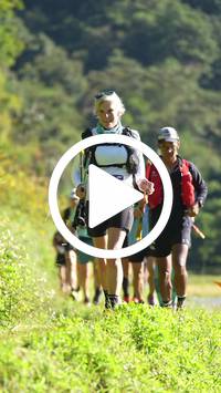 BIB:  <button type="button" onclick="openModal(26578069)" class="btn btn-primary btn-sm float-right" data-toggle="modal" data-target=".modal-high-quality">
                <i class="fa fa-download"></i> Download
                </button>